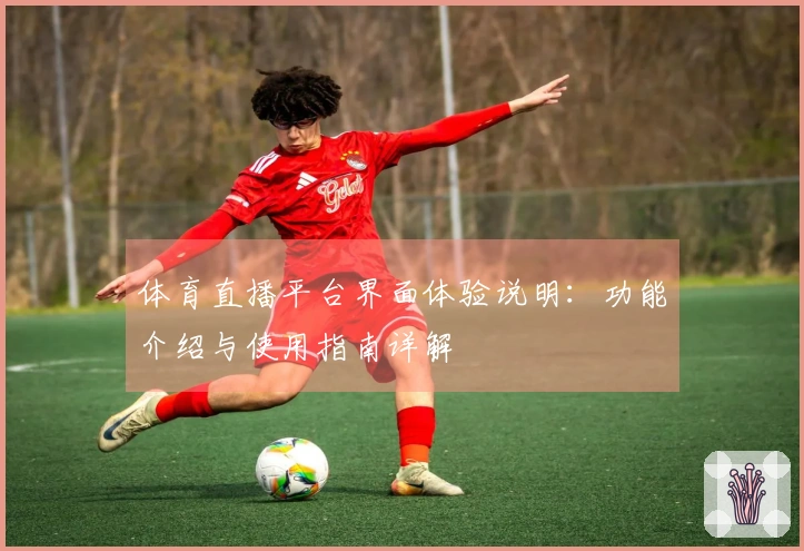 体育直播平台界面体验说明：功能介绍与使用指南详解