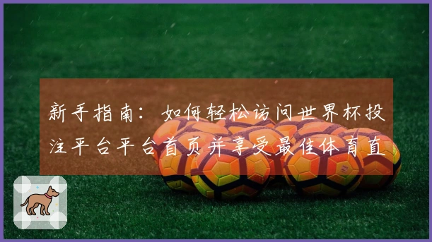 新手指南：如何轻松访问世界杯投注平台平台首页并享受最佳体育直播体验