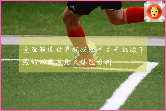 全面解读世界杯投注平台手机版下载的功能与用户体验分析