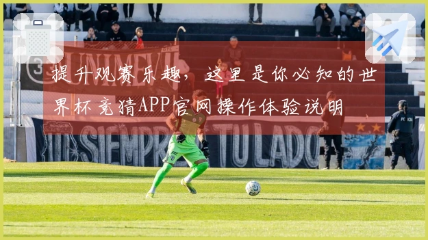 提升观赛乐趣，这里是你必知的世界杯竞猜APP官网操作体验说明