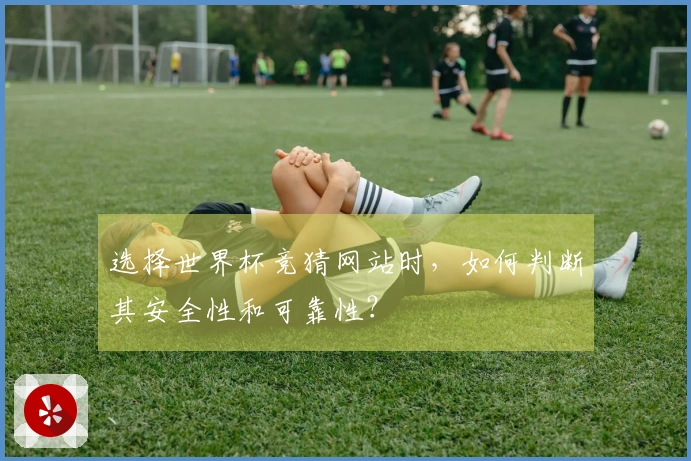 选择世界杯竞猜网站时，如何判断其安全性和可靠性？