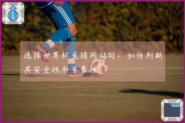 选择世界杯竞猜网站时，如何判断其安全性和可靠性？