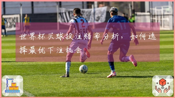 世界杯买球投注赔率分析,如何选择最优下注机会