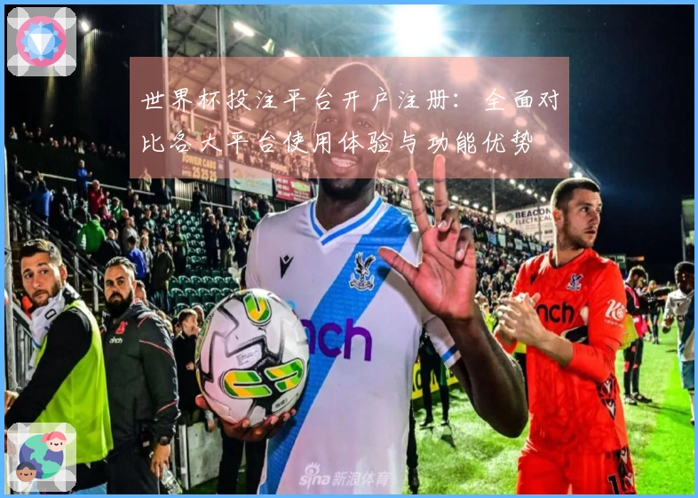 世界杯投注平台开户注册:全面对比各大平台使用体验与功能优势