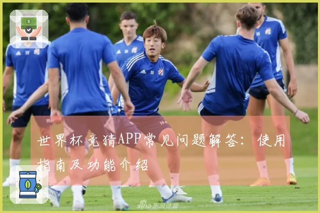 世界杯竞猜APP常见问题解答：使用指南及功能介绍