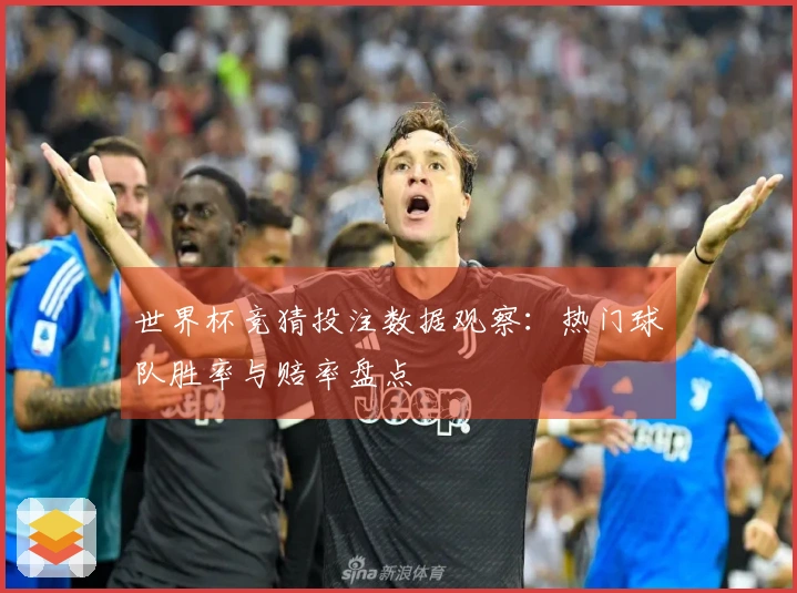 世界杯竞猜投注数据观察：热门球队胜率与赔率盘点