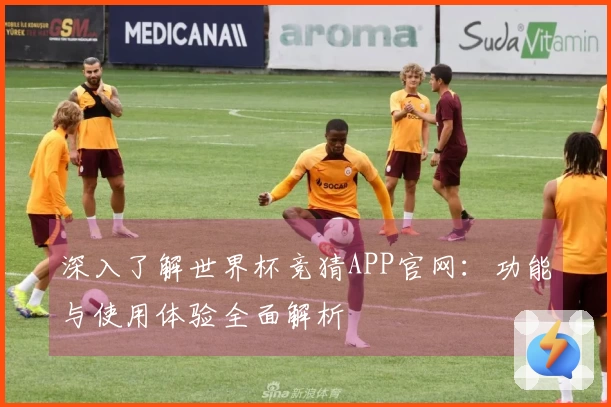 深入了解世界杯竞猜APP官网：功能与使用体验全面解析