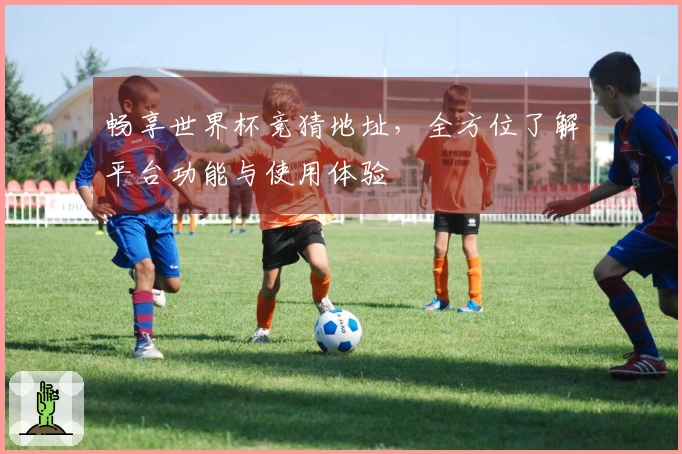 畅享世界杯竞猜地址，全方位了解平台功能与使用体验
